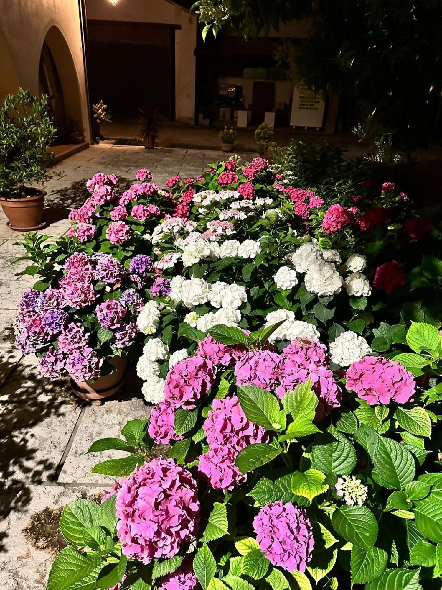 B&B Le Ortensie Castagnole Exterior photo
